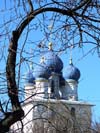Шестопалова Валерия, школа№1071, ф\с "Спектр"