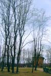 Чернобурова Ольга, НОУ Школа "Ника", ф\с "уНИКАльные кадры"