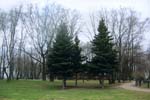 Чернобурова Ольга, НОУ Школа "Ника", ф\с "уНИКАльные кадры"
